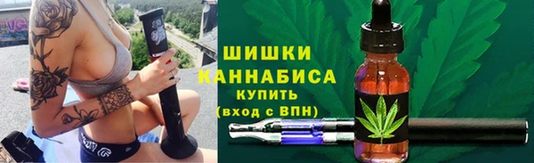 шишки Магас