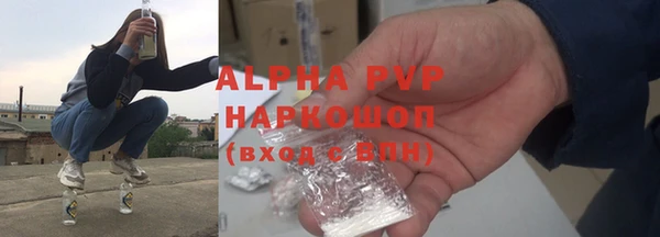 шишки Магас