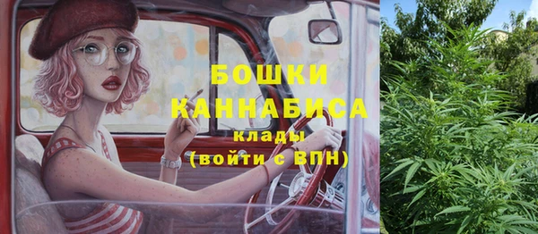 бошки Семилуки