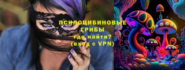 бошки Семилуки